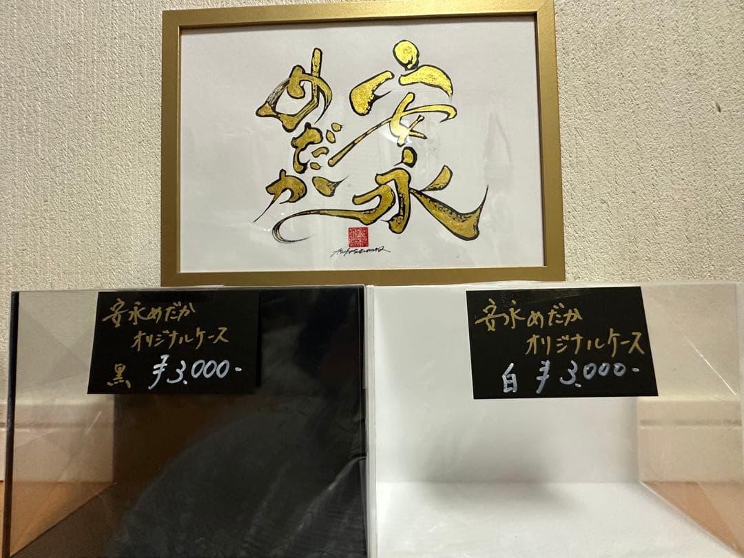 【安永めだか】国産メダカ横見ケース水槽《白＆黒2個》