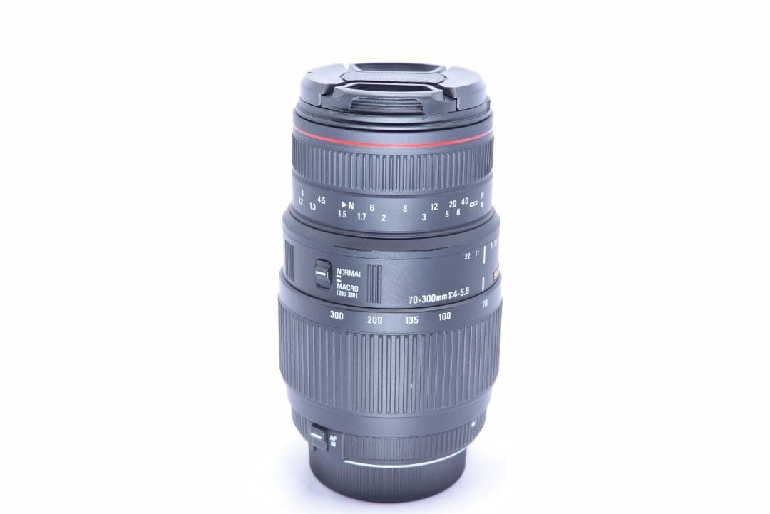 シグマ SIGMA APO DG 70-300mm f4-5.6 Nikon