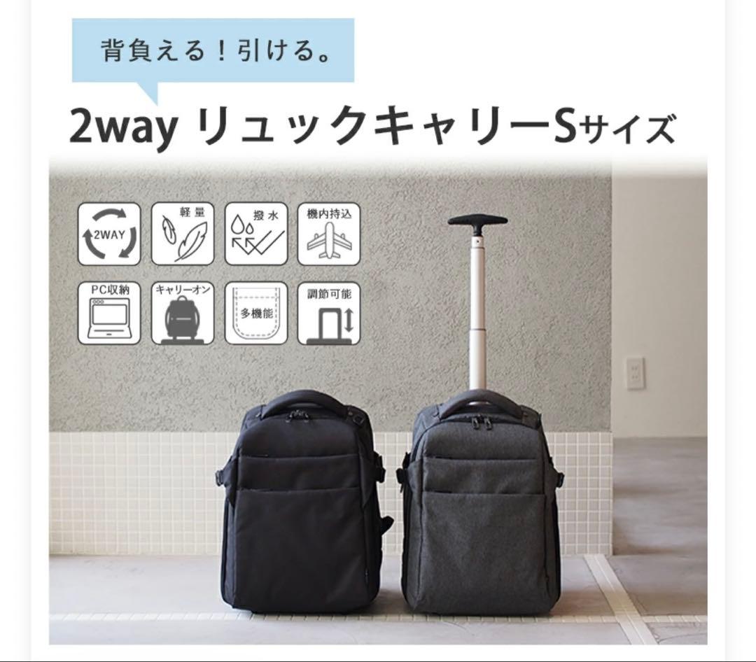 週末値下げ【美品・迅速発送】モエルグ リュックキャリー Sサイズ 2way