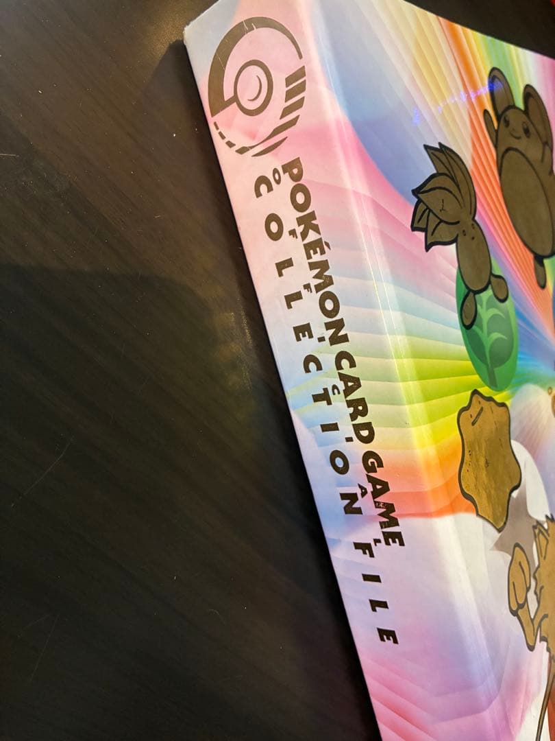 ポケモンカード　ファイル