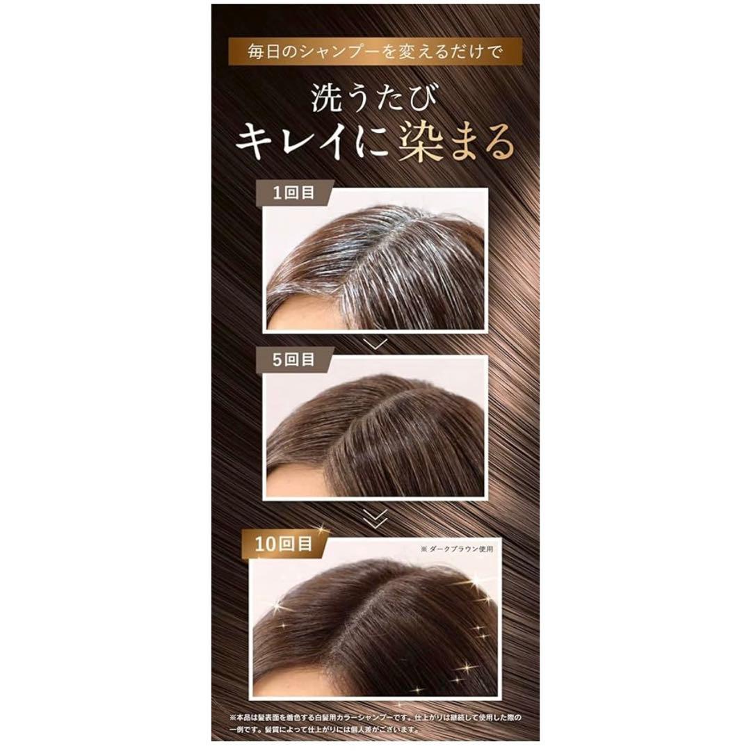 【大容量500ml】白髪用カラーシャンプーセット ミネラルイオンブラシ 利尻昆布