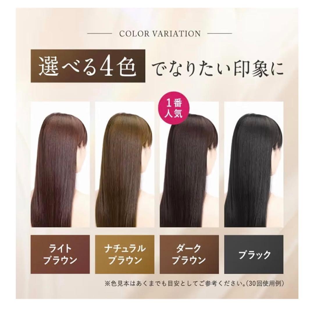 【大容量500ml】白髪用カラーシャンプーセット ミネラルイオンブラシ 利尻昆布