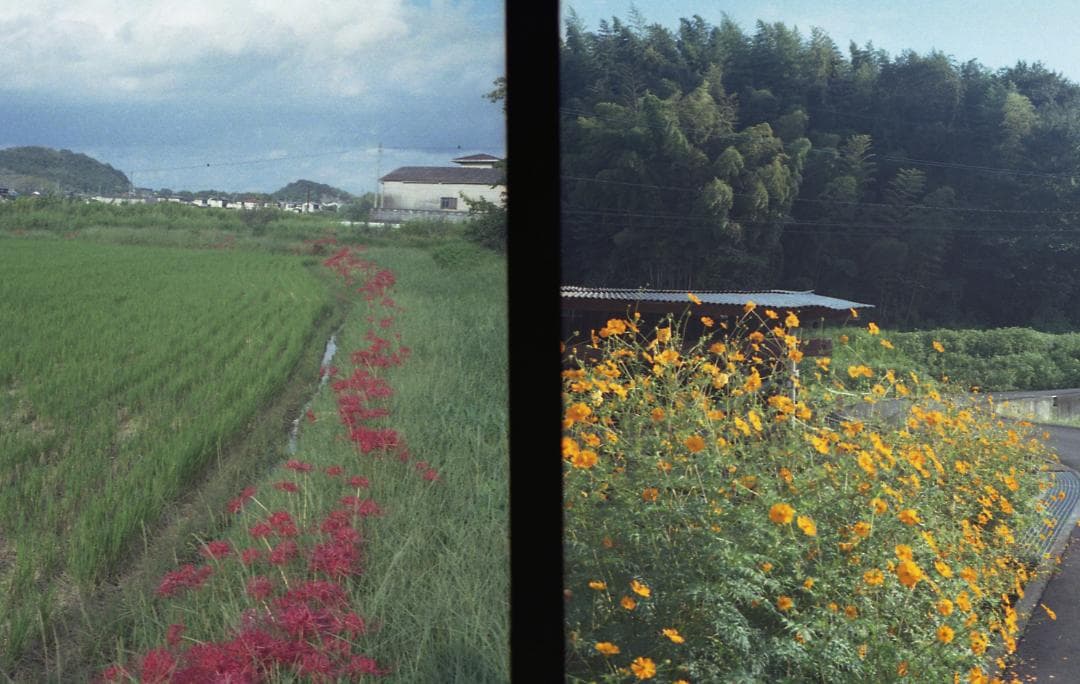 【実写済み】 OLYMPUS PEN-D