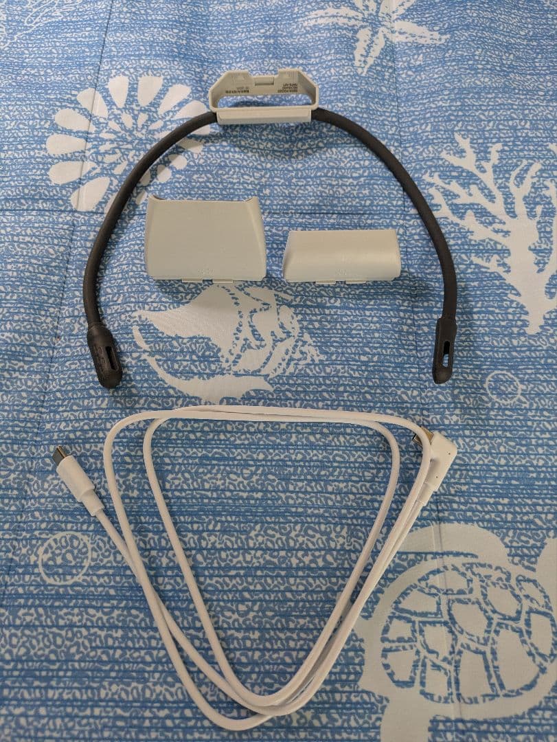 SONY REON POCKET PRO ソニー　レオンポケットプロ