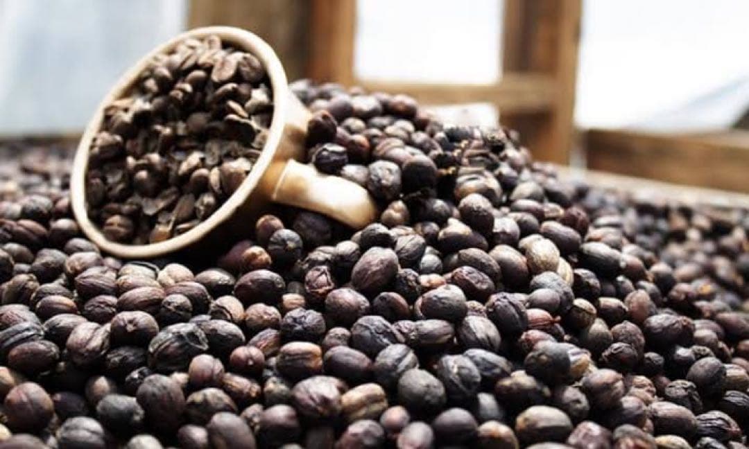 【DECAF blend／1kg】 miino COFFEE 直火焙煎
