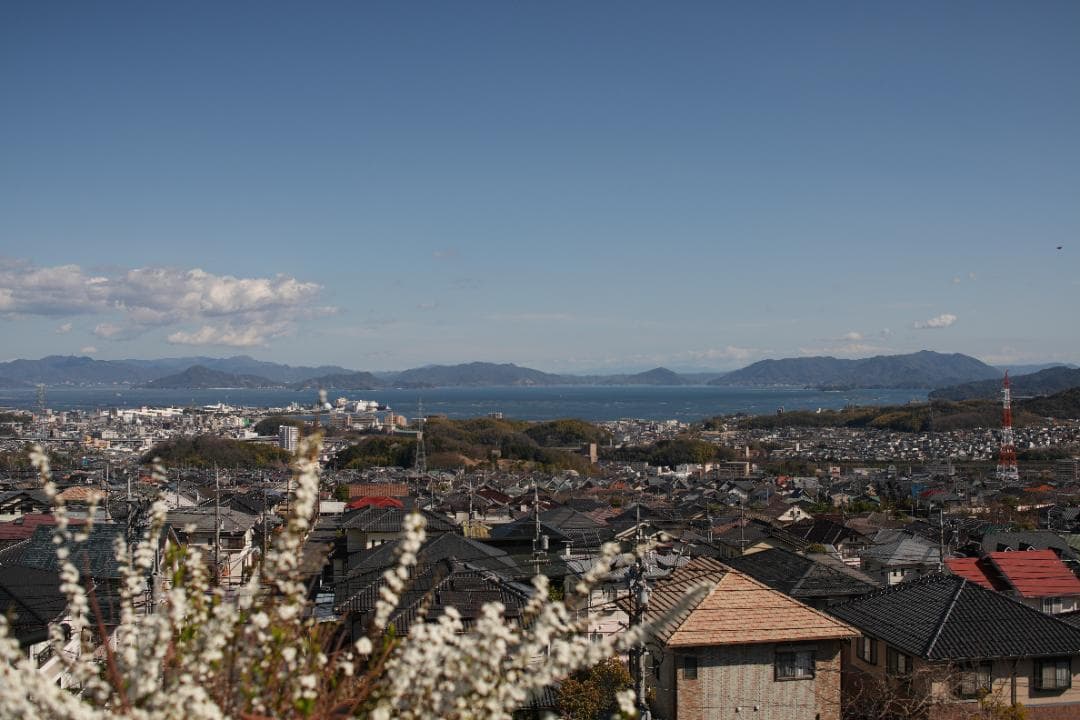 レンズ(単焦点) Nikon Ai-S Nikkor 35mm F1.4