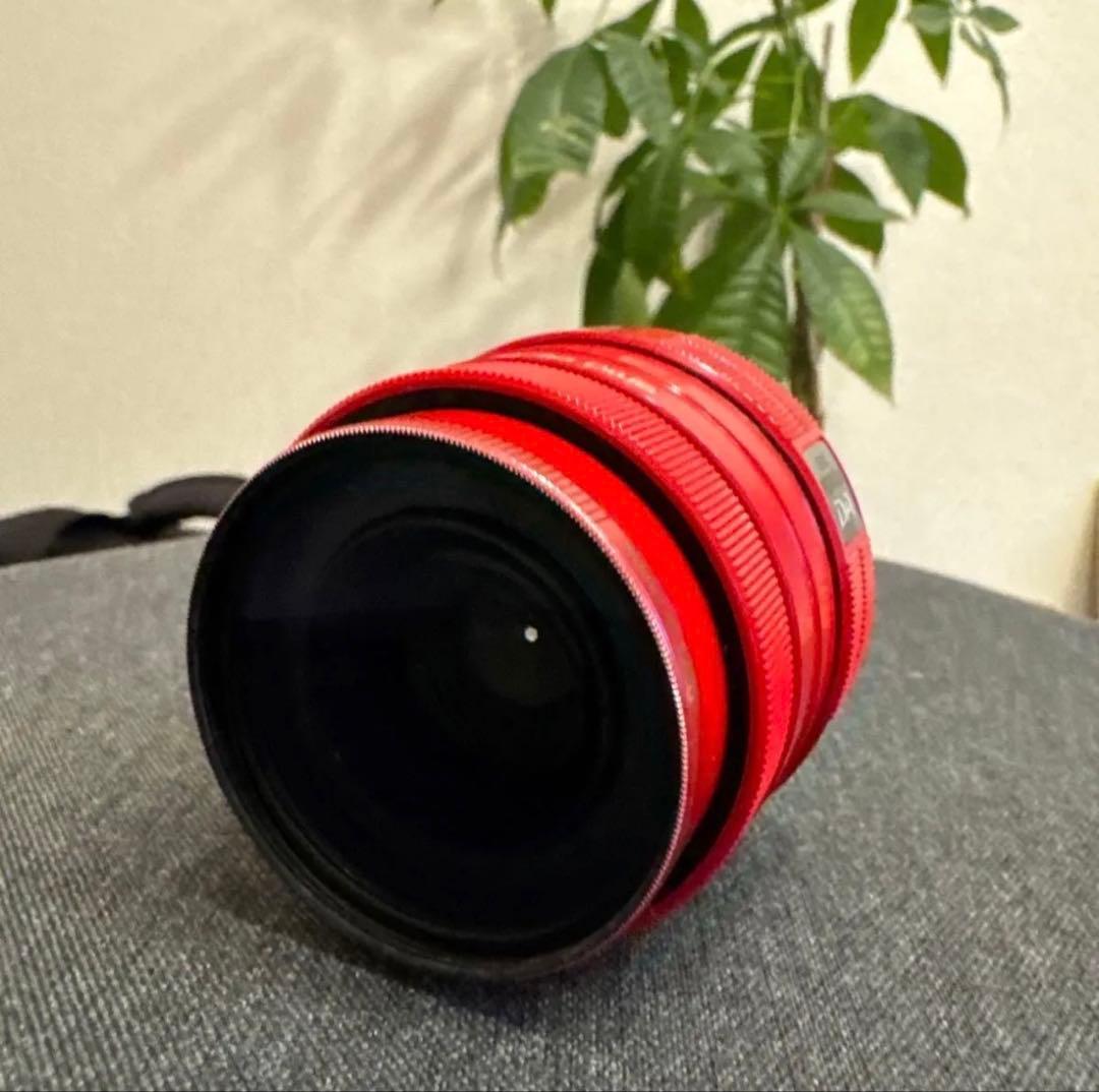 【美品】PENTAX KP デジタル一眼レフカメラ レンズセット