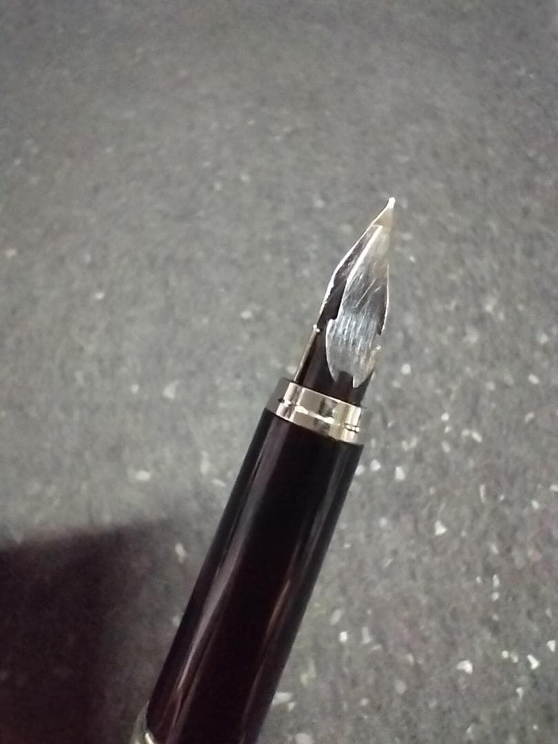 【廃盤】PLATINUM プラチナ万年筆 Riviere 18KWG F 格子柄