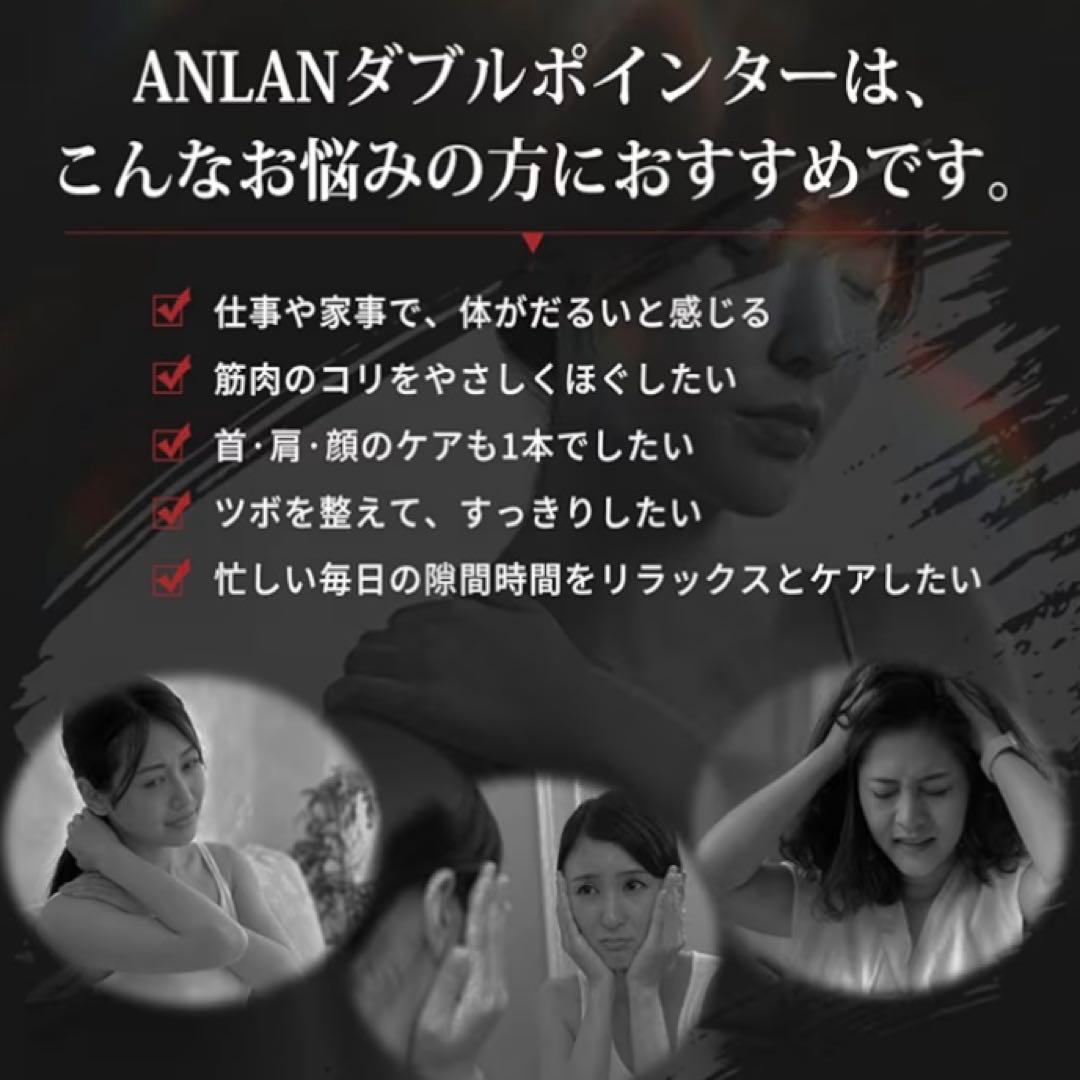 ANLAN ダブルポインター 美顔器
