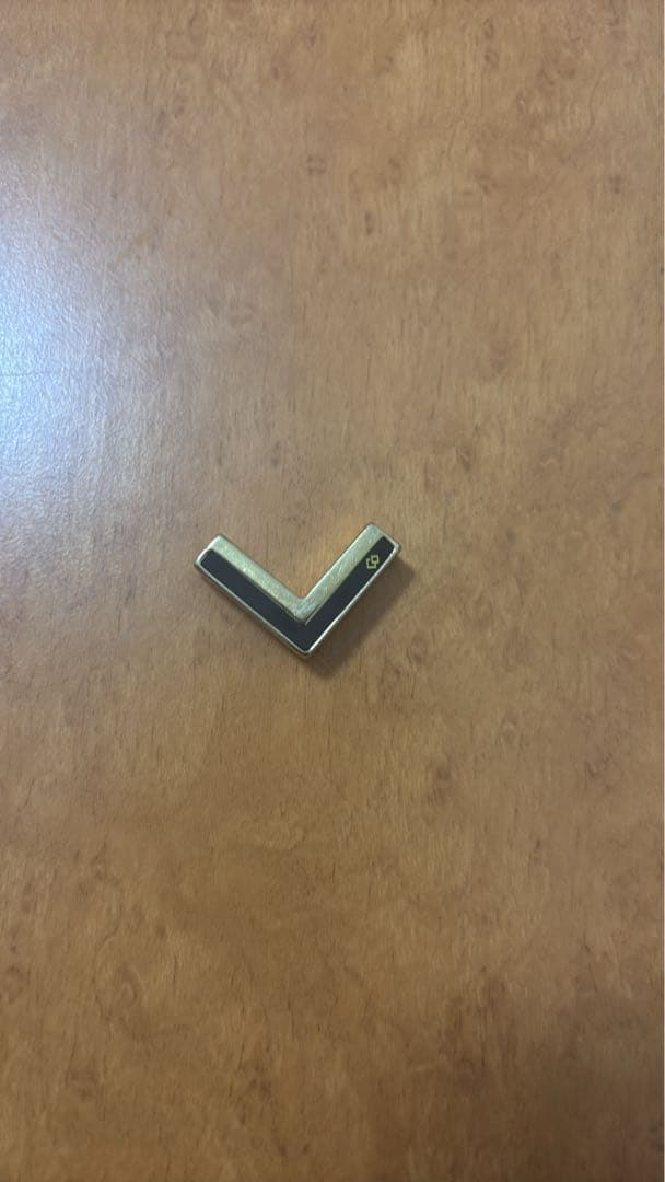 金色 V字型 ネックレス