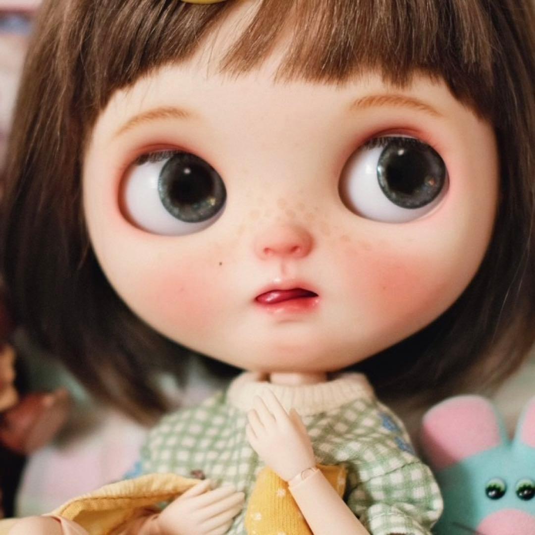 作家様カスタムブライス 人形 かわいい 個性的 ペ 悪戯っ子 フルセット