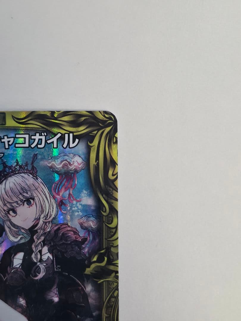 シャコガイルa
