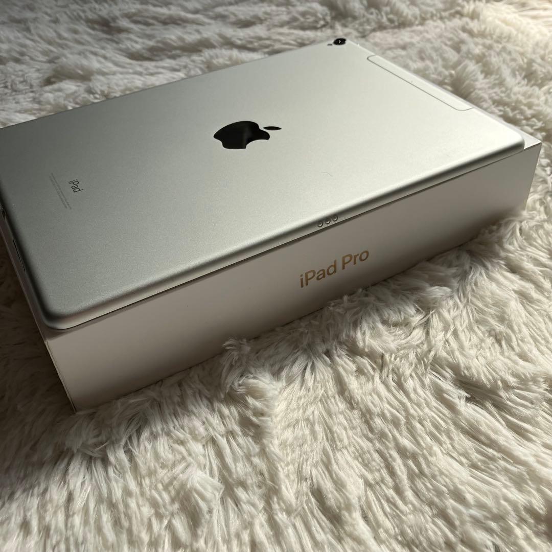 【早い者勝ち】iPad Pro 10.5 256GB 付属品多数！ 【すぐ発送】