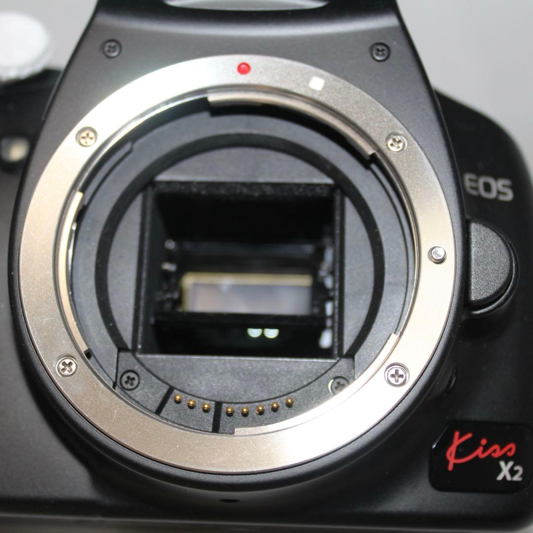 【美品】CanonKiss x2 ボディ　シャッター数3250 初心者さんに！