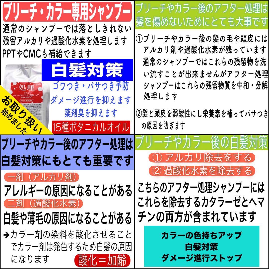資生堂 アルティスト⑪グレージュとシャンプー 茶【ブリーチとセット合計5%割引A