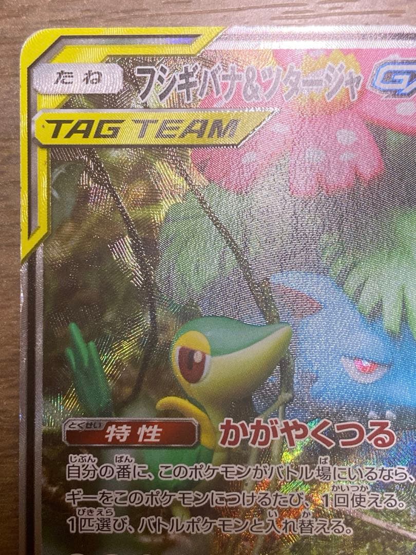 フシギバナ＆ツタージャGX SA