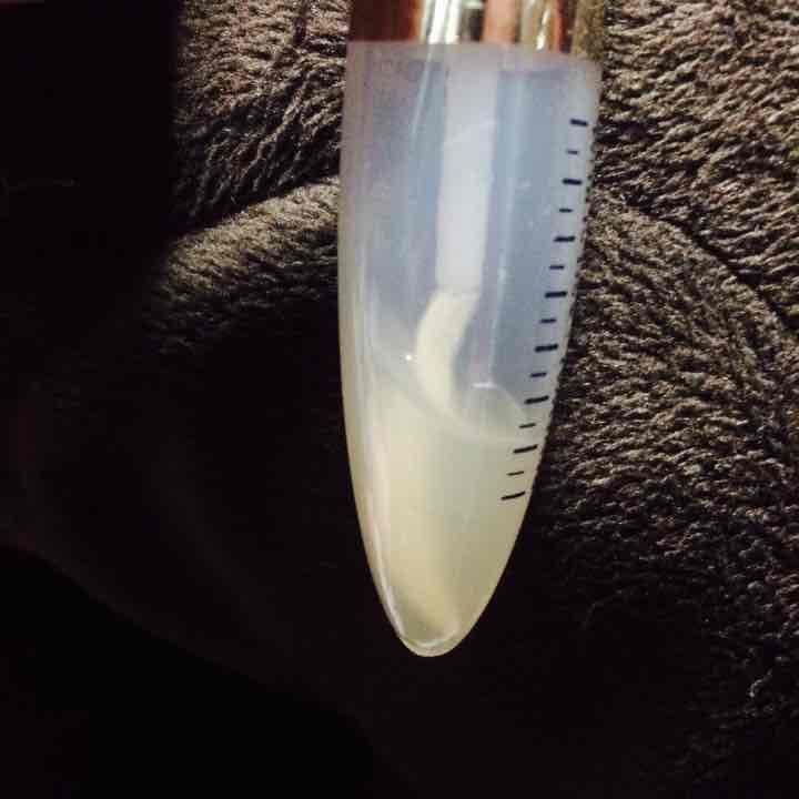 L'OREAL Parisのまつげ美容液