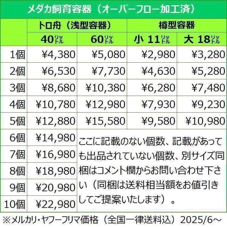 【4月値上予定】メダカ飼育ケース 60㍑x2個 トロ舟 オーバーフロー 金魚飼育