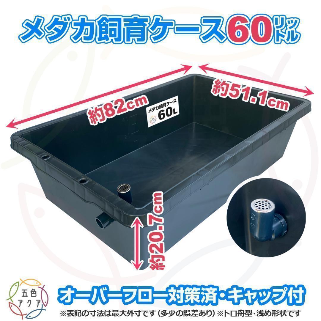 【4月値上予定】メダカ飼育ケース 60㍑x2個 トロ舟 オーバーフロー 金魚飼育