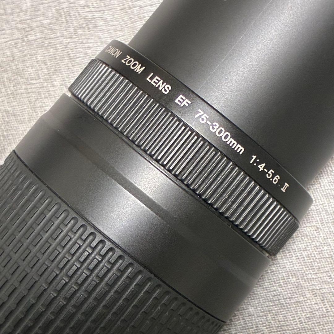 ⭐️美品⭐️Canon EF 75-300 II & EF-EOS M アダプター