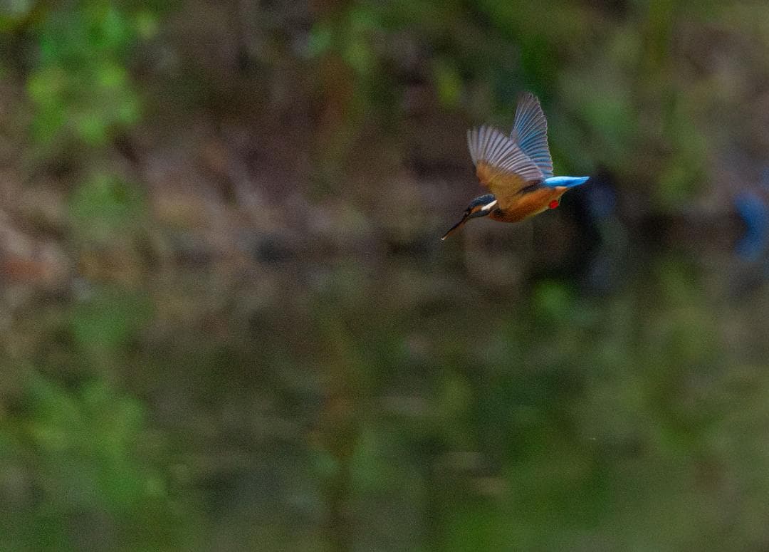 デジタルカメラ Canon eos R5