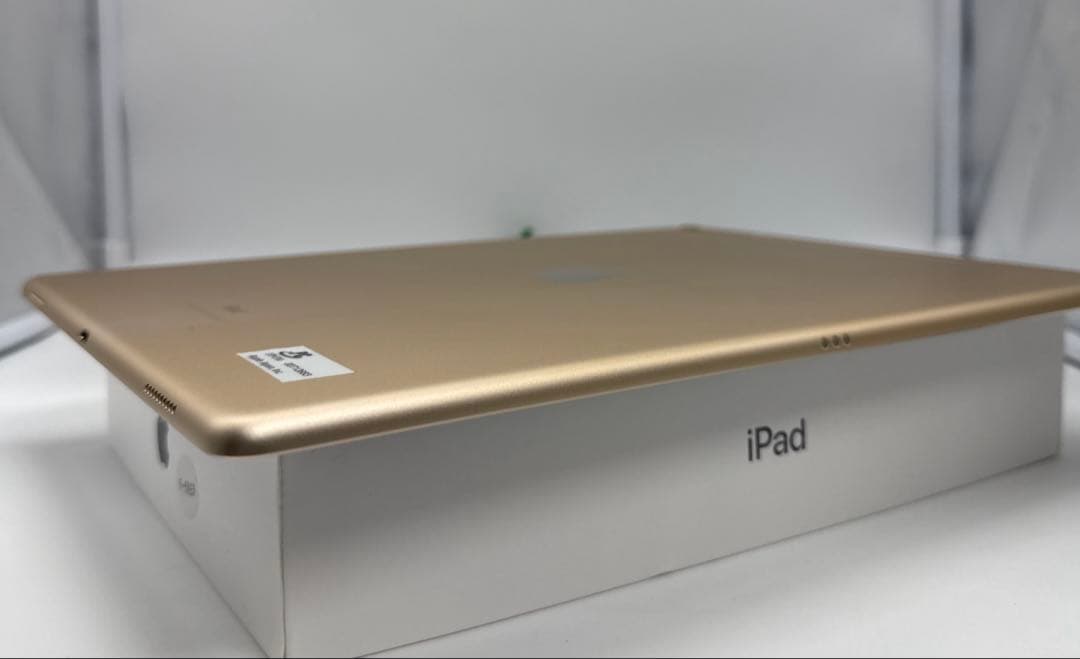 【本日発送】✨シーズー✨ iPad Pro 12.9インチ 第２世代