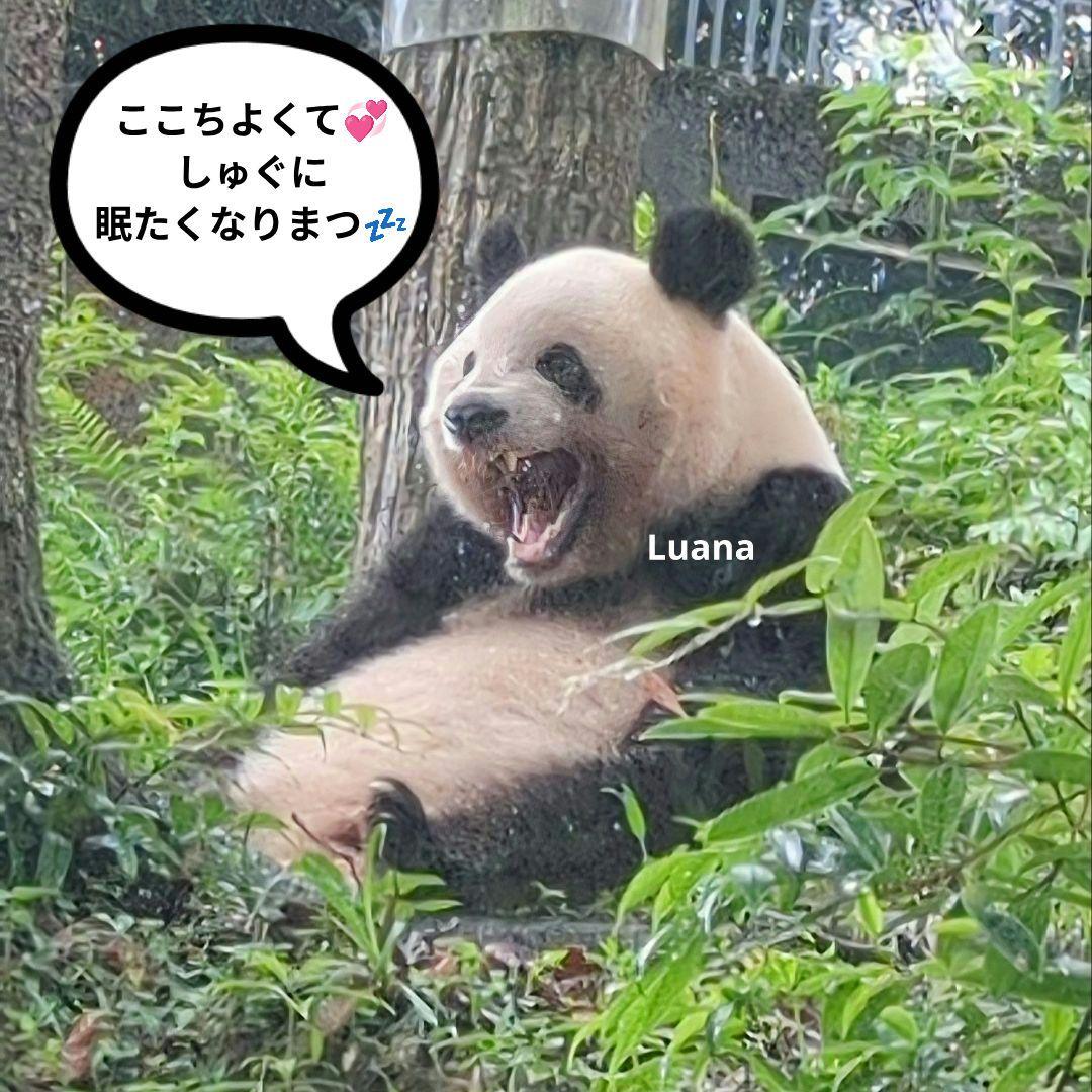 営業再開いたしました(*˘︶˘*).。.:*♡