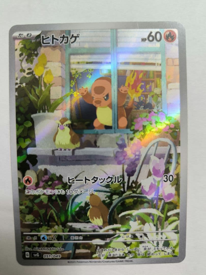 ヒトカゲ　AR