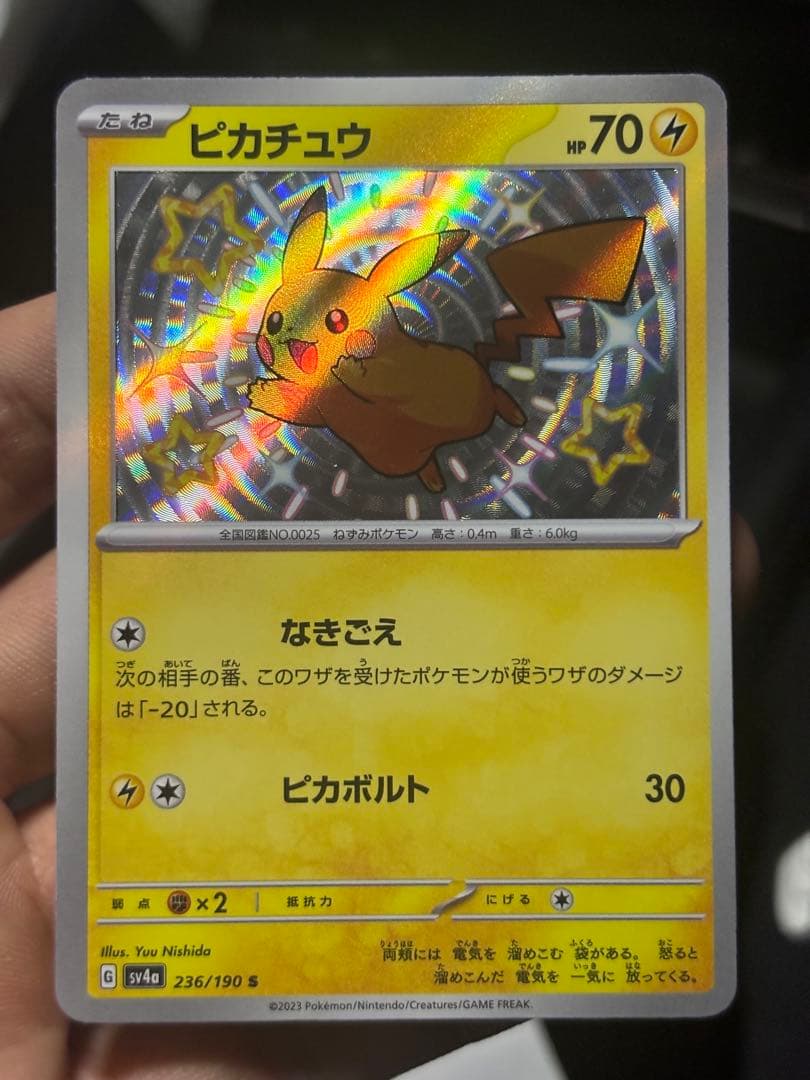 色違いピカチュウ シャイニートレジャー