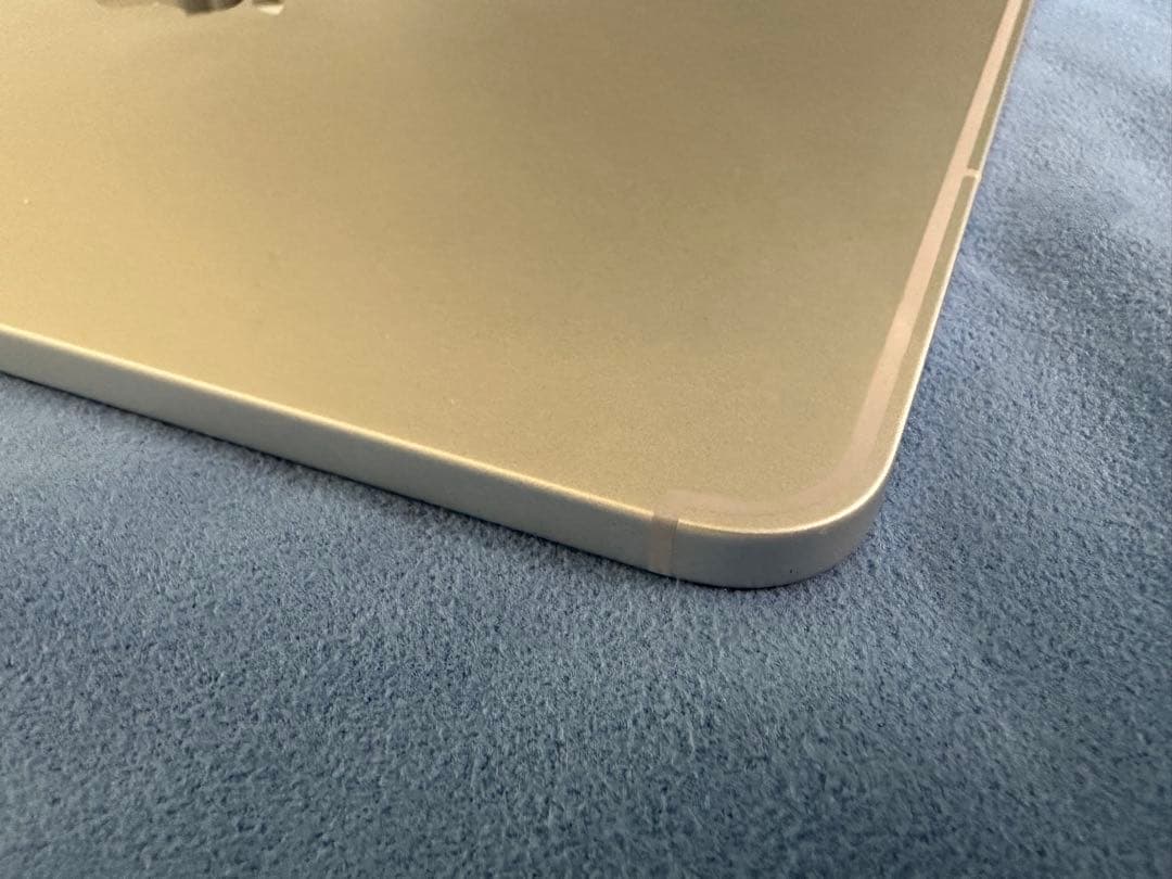 専用　Apple iPad pro 11インチ