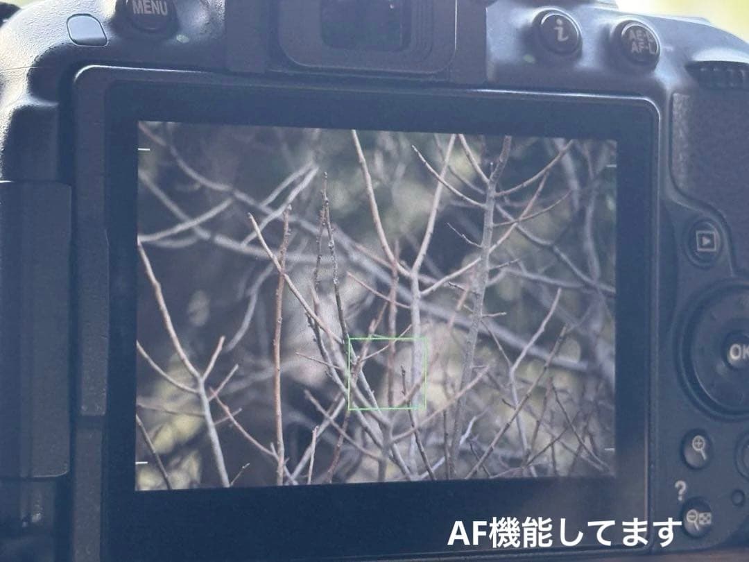 ジャンク/Nikon D5300 Ｗレンズキット Wi-Fi搭載 一眼レフカメラ