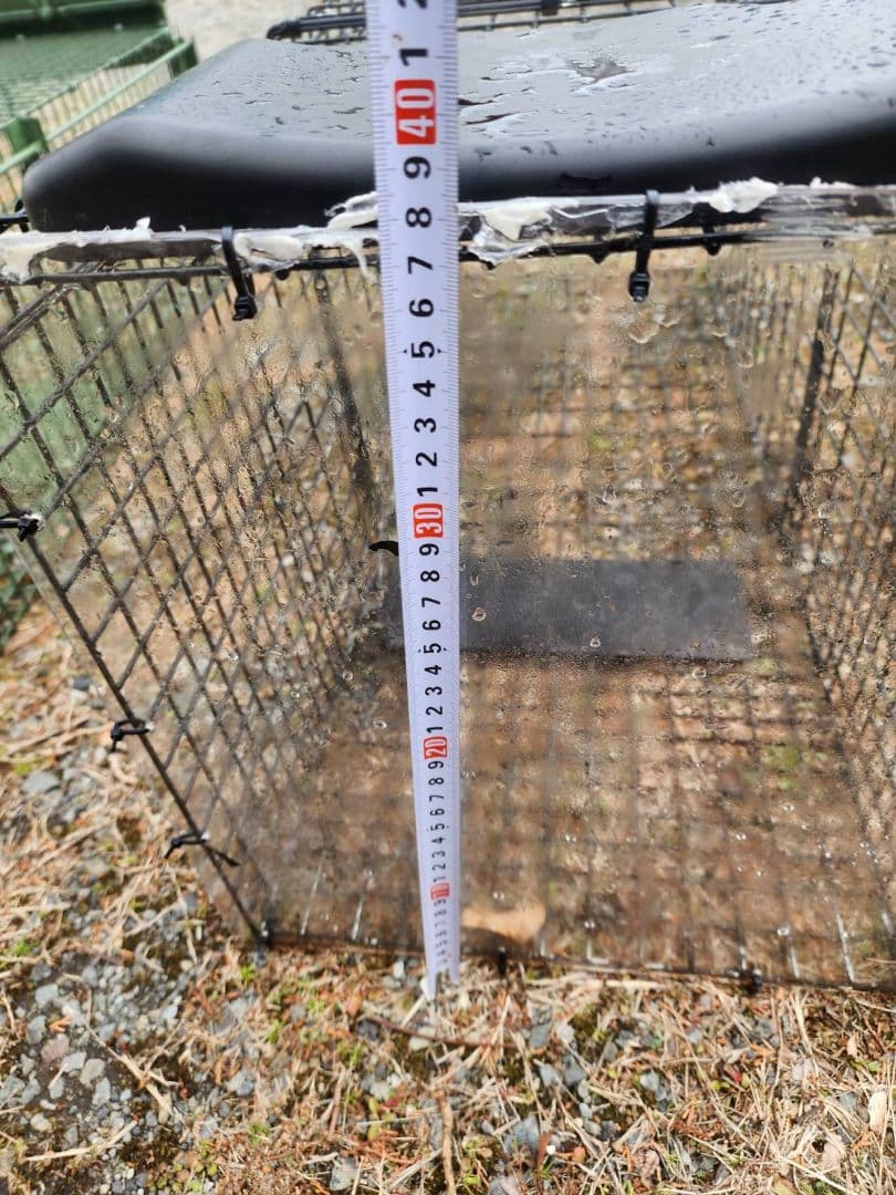 猫用捕獲器 ダブルドア 　3個セット　地域猫　保護猫