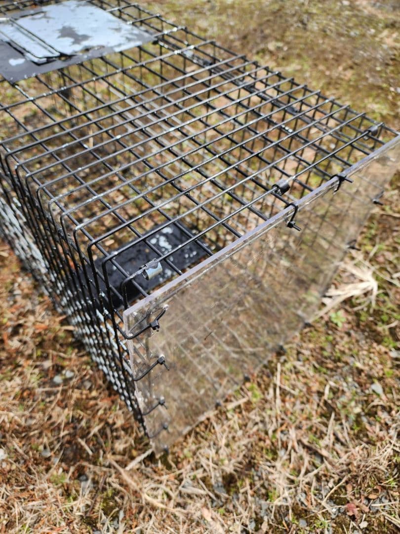 猫用捕獲器 ダブルドア 　3個セット　地域猫　保護猫