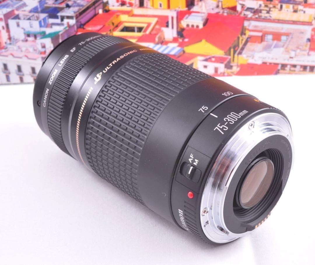 ★望遠レンズ Canon キヤノン EF75-300mm 想い出の瞬間 #3