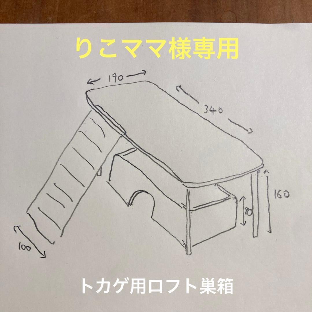 りこママ　トカゲ用　ロフト巣箱