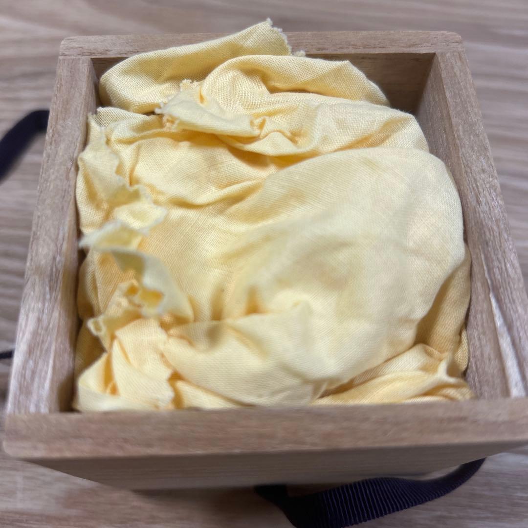 茶道具 茶器 白塗 干網蒔絵 中棗 泉帆　漆器 抹茶 棗 共箱