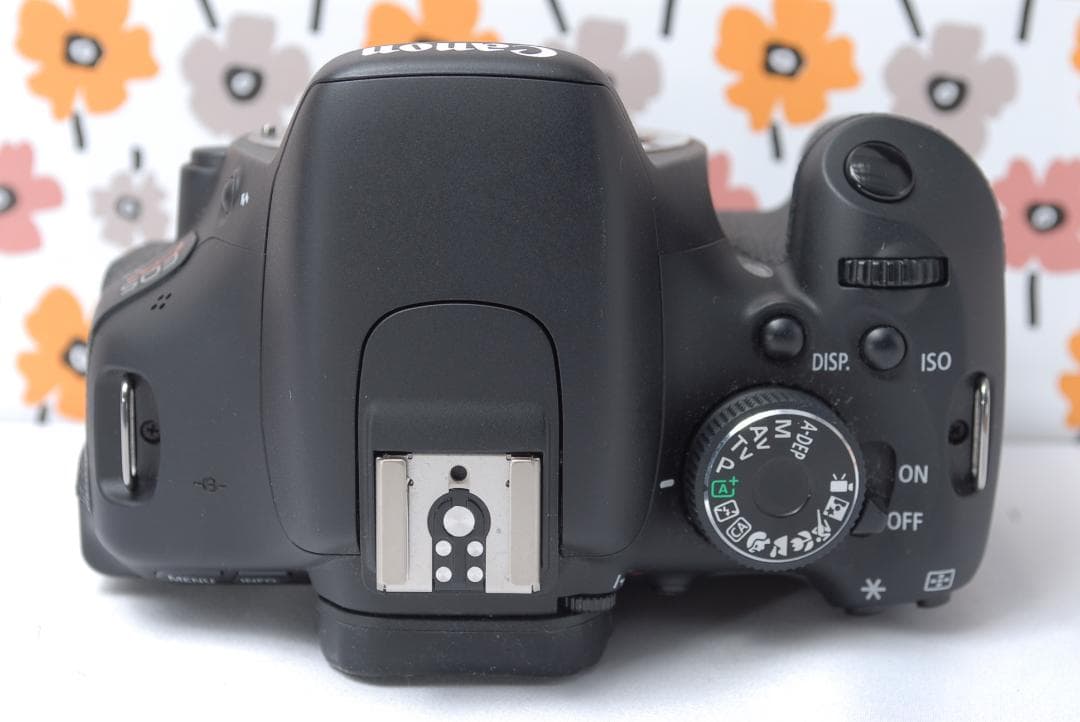 ❤Canon Kiss X5❤ショット数388回❤超望遠レンズセット❤超美品❤