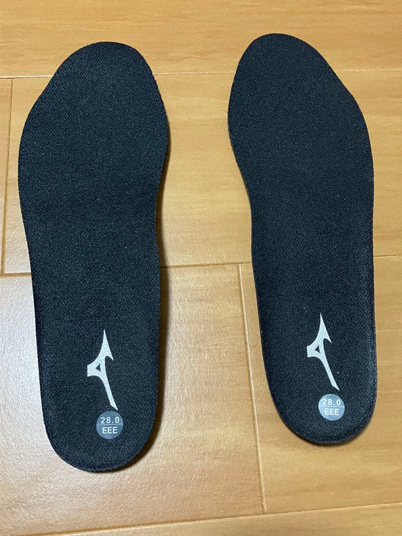 ミズノ mizuno C1GA160245 28.0cm 安全靴