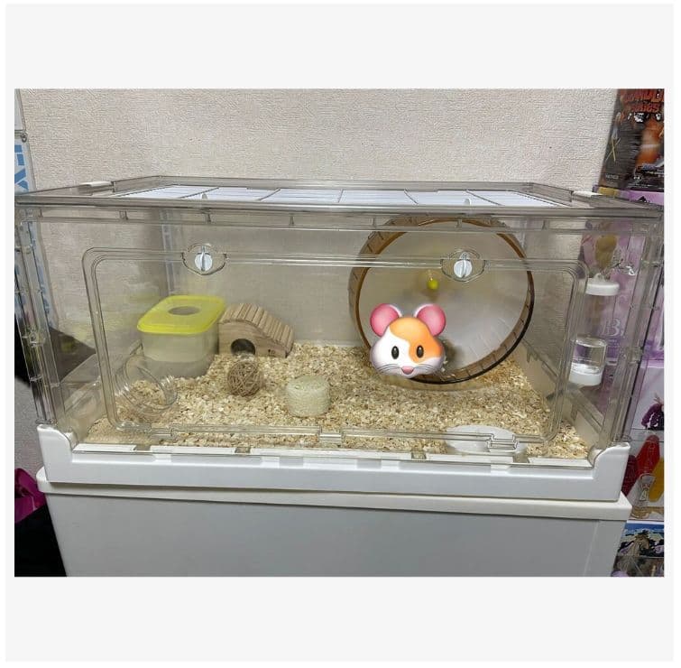 小動物飼育に最適 大型透明アクリルケージ 70×43.5×34cm 高視認性