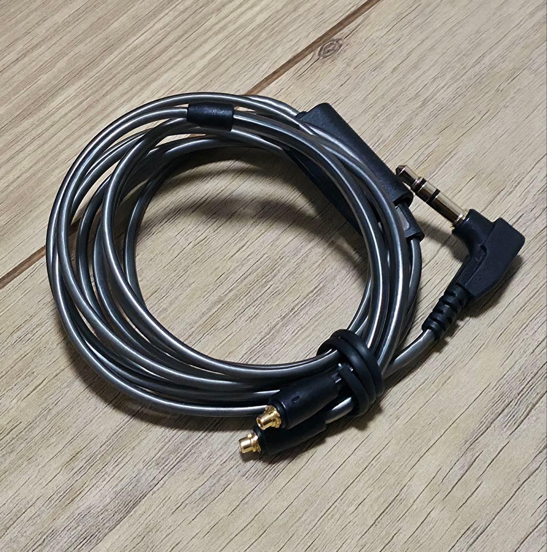 SENNHEISER IE900✨️美品✨️付属完備 正規品 2022年製