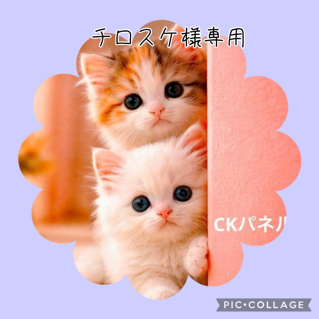 【2月】チロスケ
