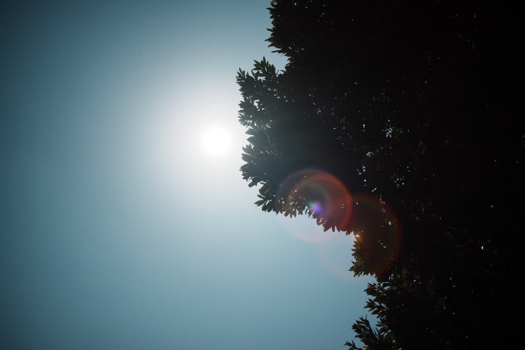 【極美品】動作◎ キャノン New FD 35mm F2 091 canon