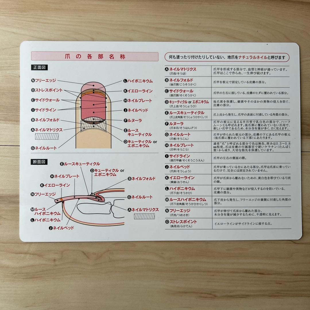 ユーキャン ネイリスト技能検定対策テキスト・DVDセット モデルハンド付