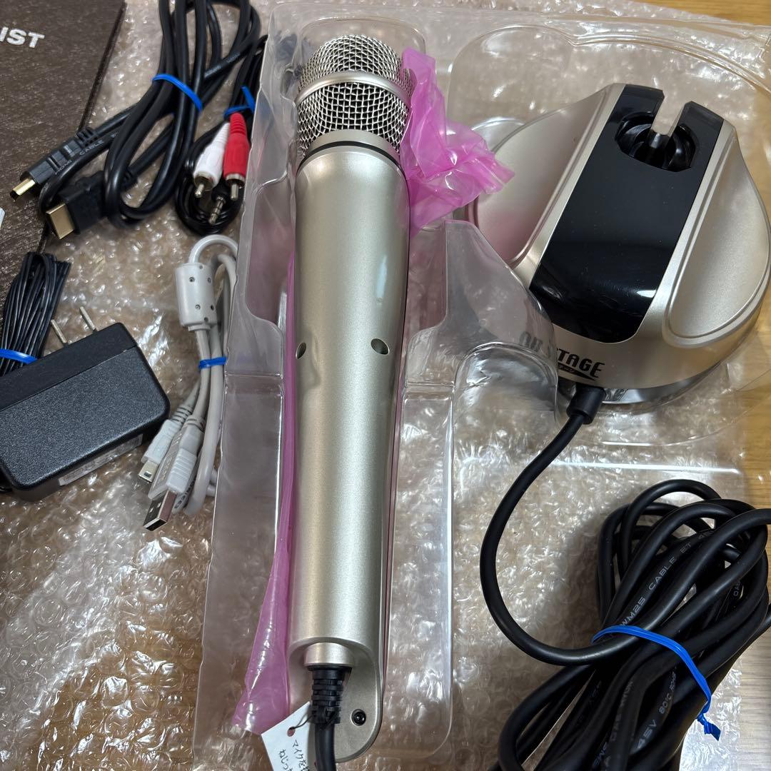 ONSTAGE オンステージ パーソナルカラオケPK-FB01GT 別売チップ付