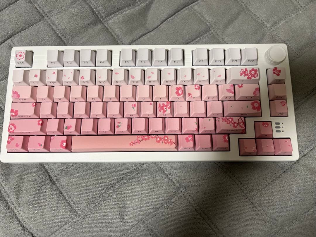 た*い様 Dareu EK75 Pro キーボード 本体