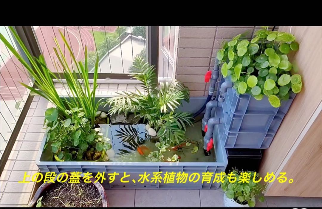池水槽用万能フィルター 万能濾過槽　外部式飼育濾過装置器