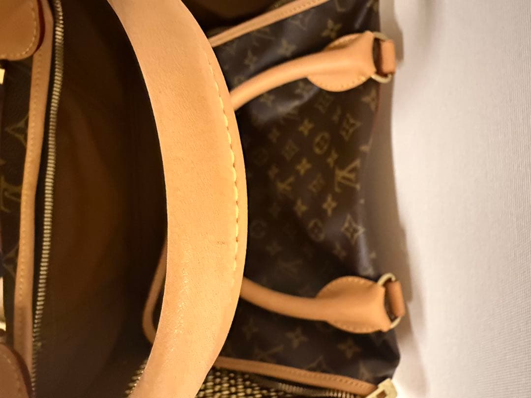 【美品】Louis Vuittoドッグ（ペット）キャリーケース
