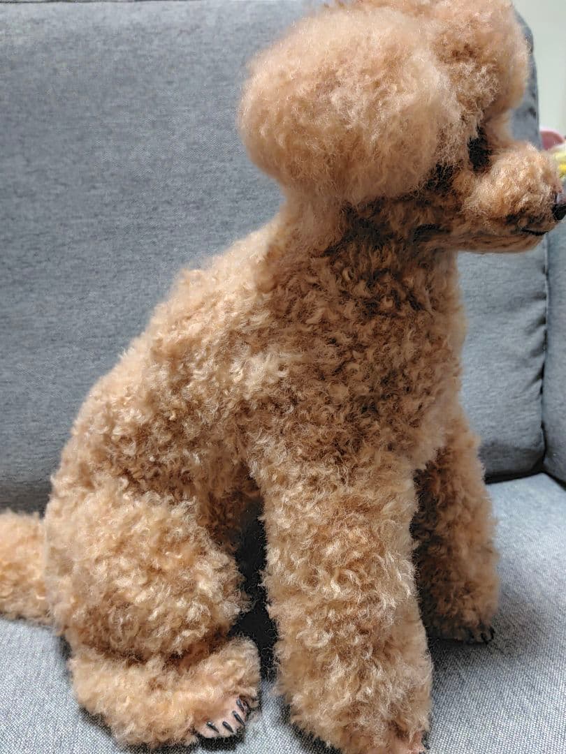 羊毛フェルトオーダー確認用。トイプードルレッドちゃん♡実物大。