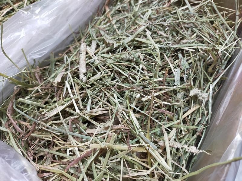US産 チモシー 20kg ２番刈 ソフトスーパープレミアム