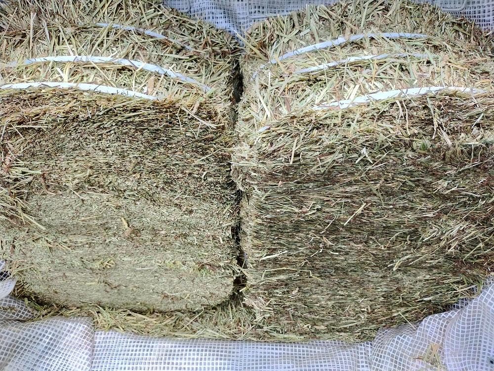 US産 チモシー 20kg ２番刈 ソフトスーパープレミアム